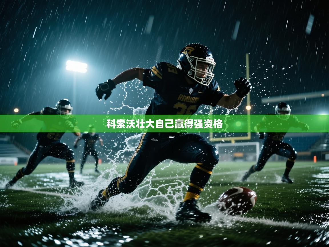 科索沃壮大自己赢得强资格 第2张