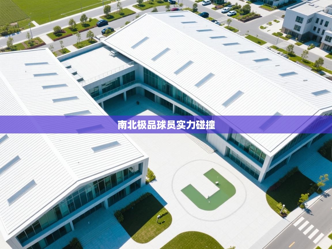 南北极品球员实力碰撞