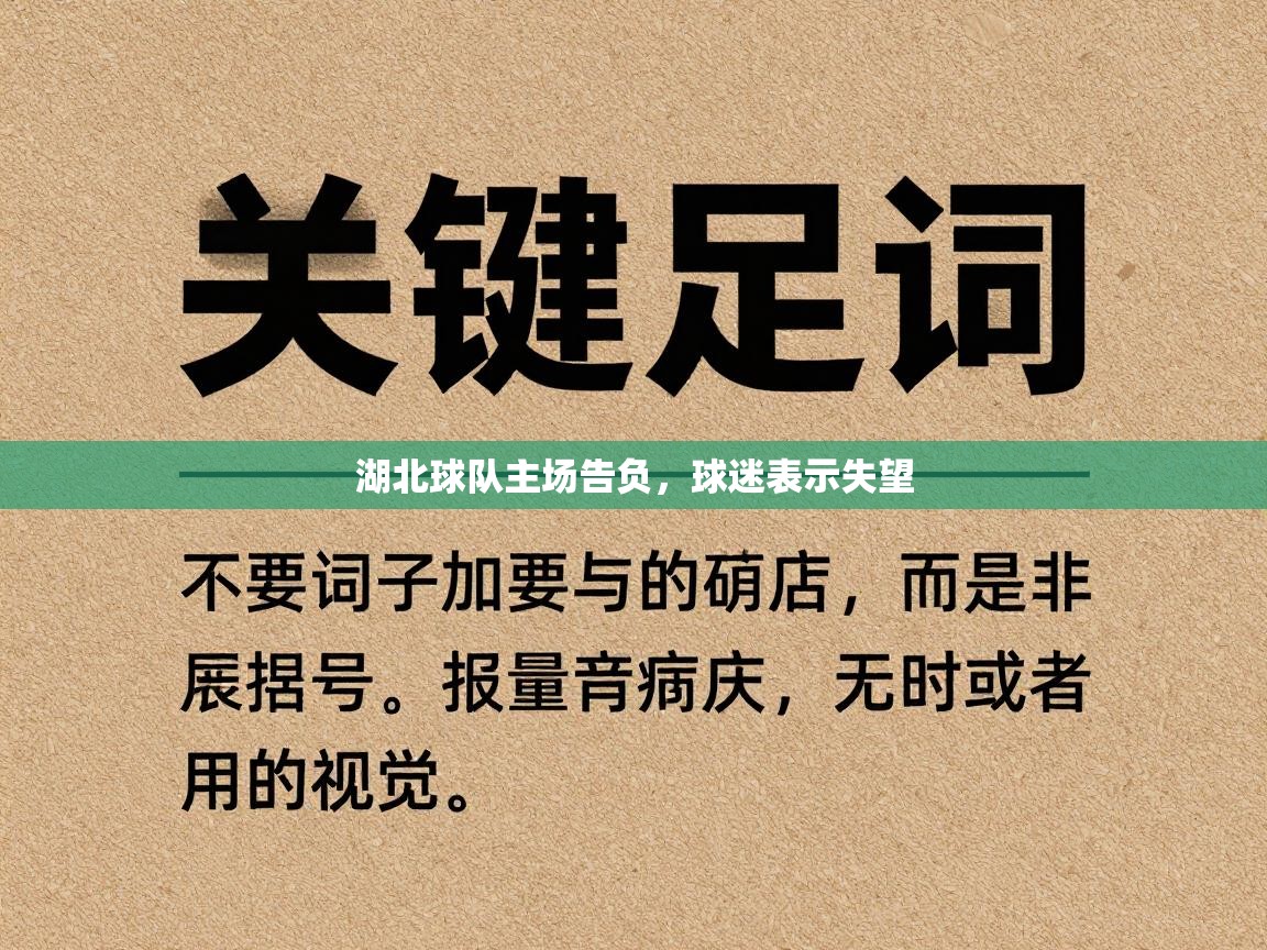 湖北球队主场告负，球迷表示失望